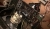 WP_20161218_21_09_40_Rich.jpg