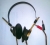 Telefunken EH333.jpg