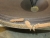 LS_01_4521.JPG