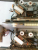 d_eaw_undine II Version a und b_detail.jpg