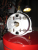 saba_355_WH_3_fach_BF_7.jpg