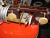 saba_355_WH_3_fach_BF_8.jpg