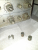 Screenshot_20231009-195534_Gallery.jpg