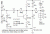 Meissner_npn_emitter_audion2.GIF